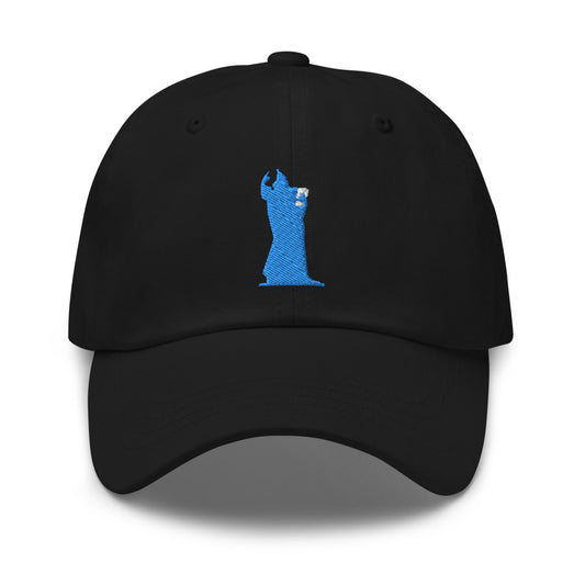 CocoCruz Blue Ninski Dad hat