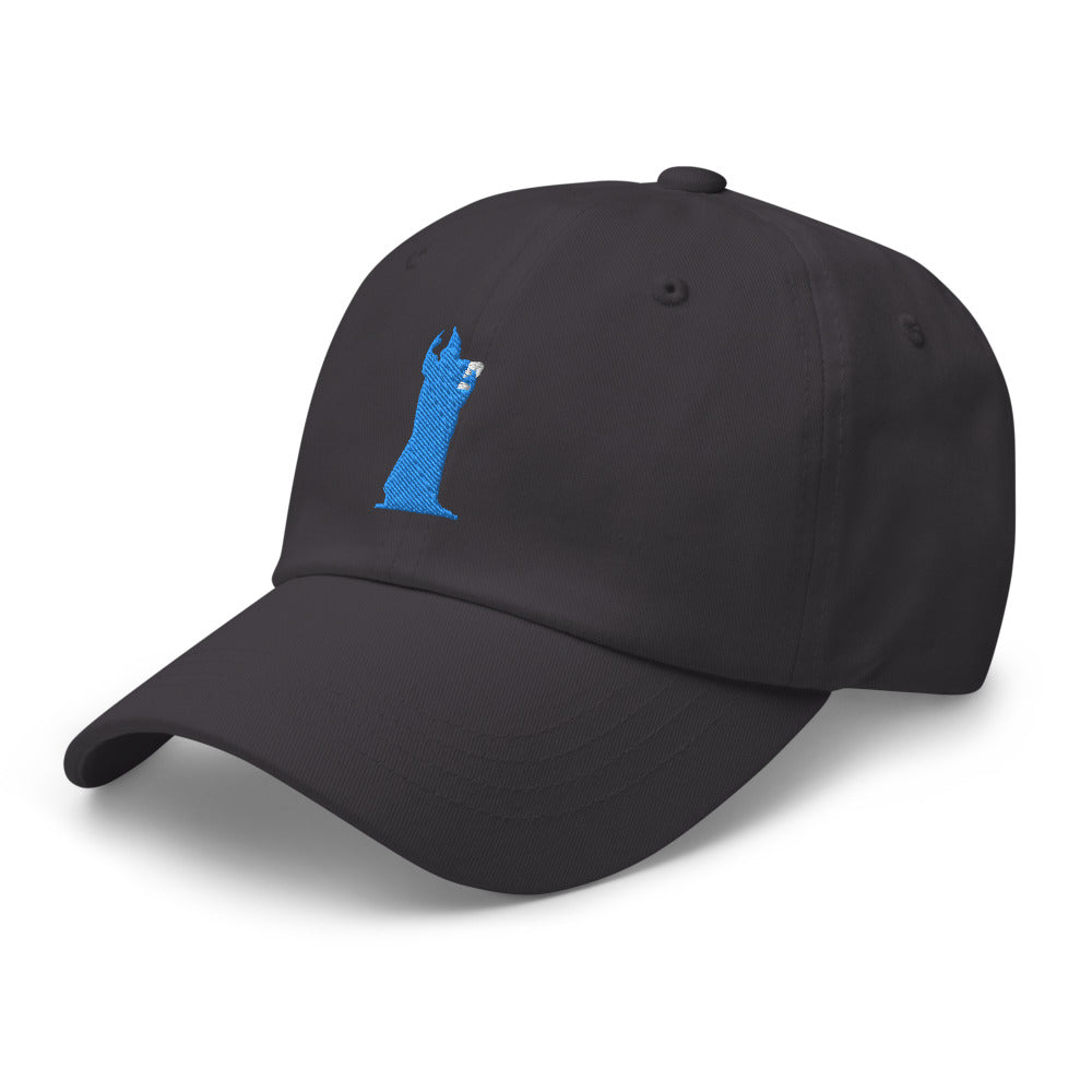 CocoCruz Blue Ninski Dad hat