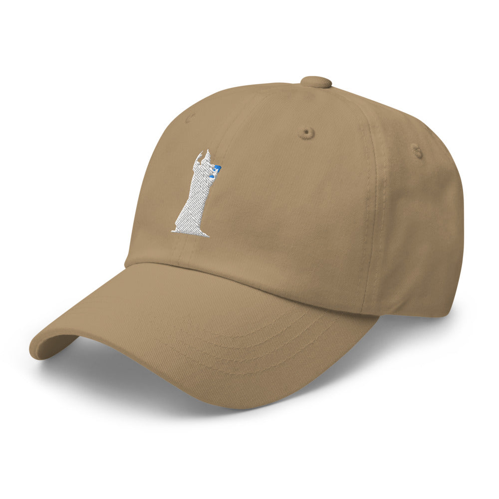 CocoCruz Ninski Cotton Twill Hat