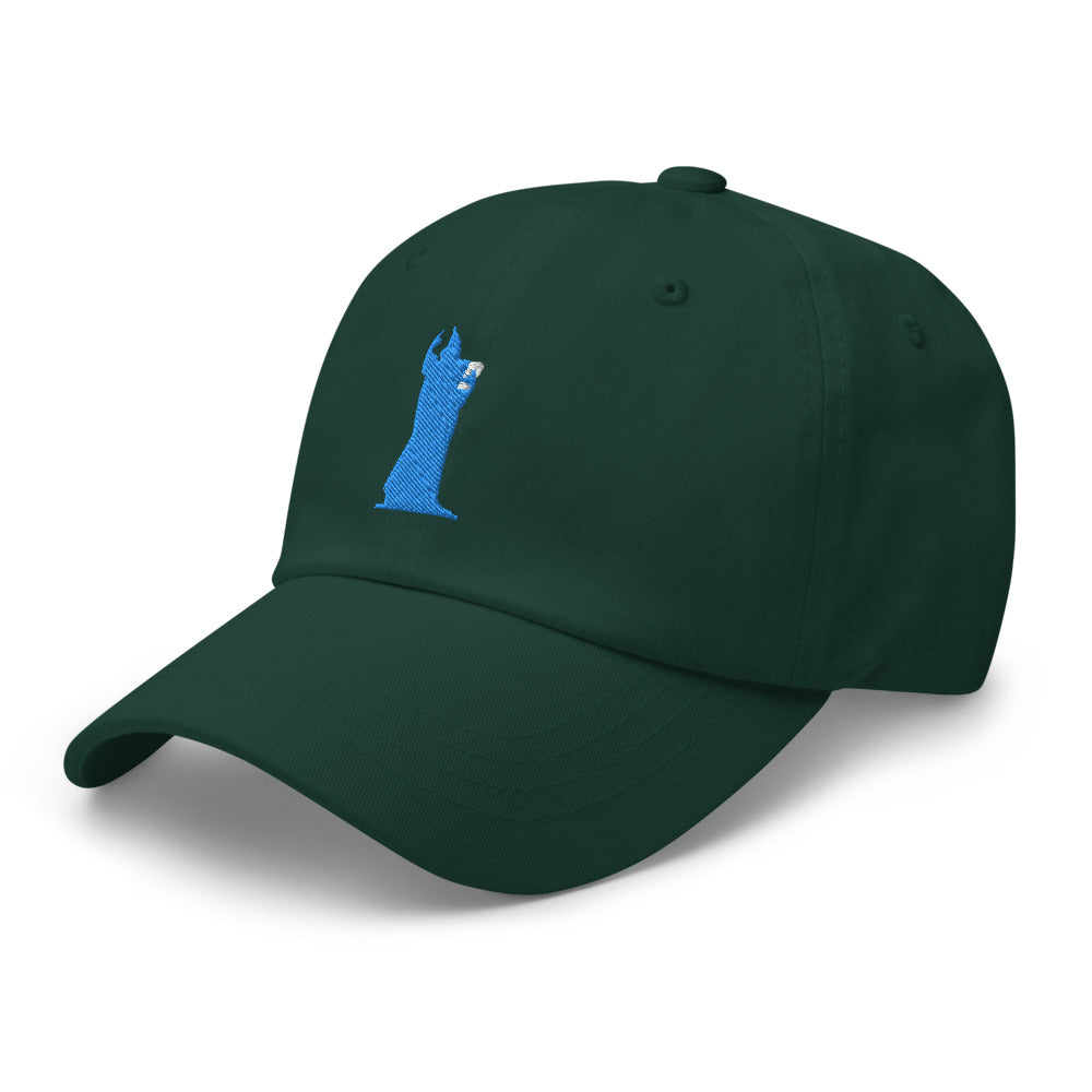 CocoCruz Blue Ninski Dad hat