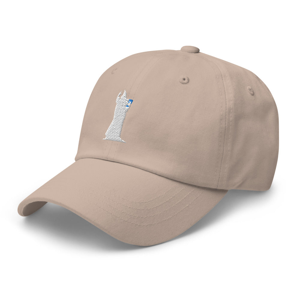 CocoCruz Ninski Cotton Twill Hat